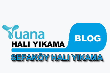 İnönü Mahallesi (Sefaköy) Halı Yıkama