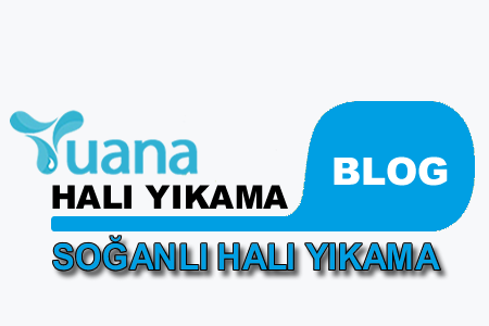 Soğanlı Halı Yıkama